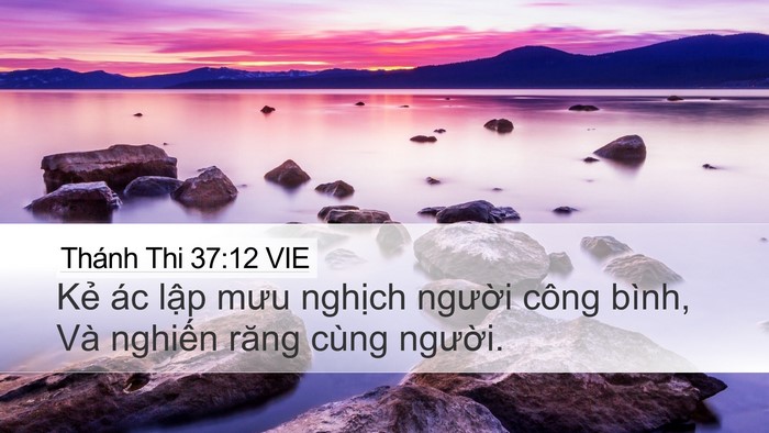 Thánh Thi 37:12 VIE Bible Verse Image