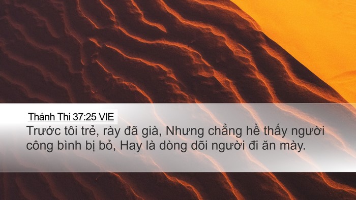 Thánh Thi 37:25 VIE Bible Verse Image