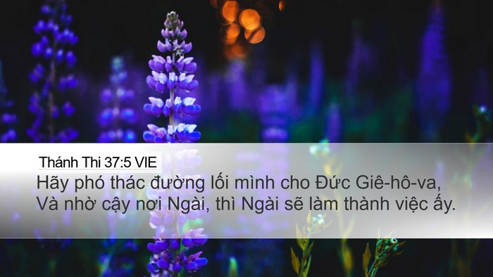 Thánh Thi 37:5 VIE Bible Verse Image