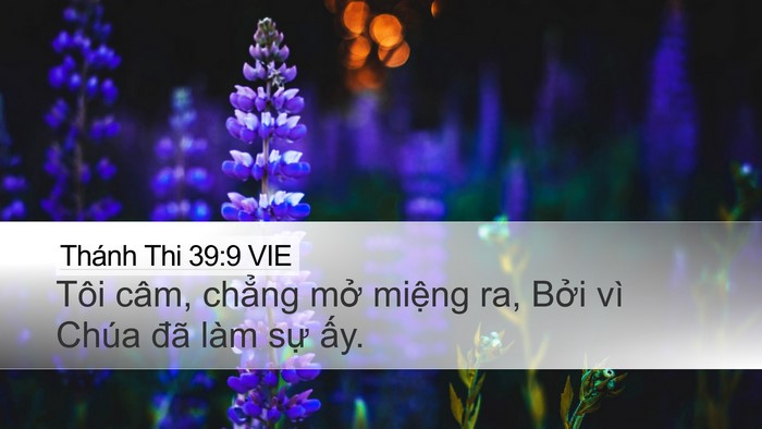 Thánh Thi 39:9 VIE Bible Verse Image