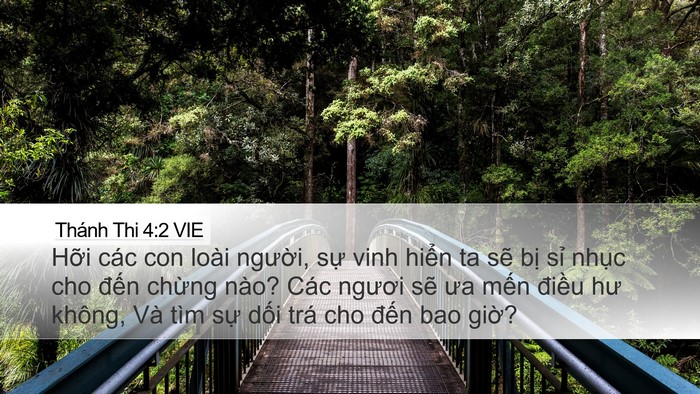 Thánh Thi 4:2 VIE Bible Verse Image