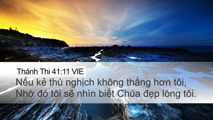 Thánh Thi 41:11 VIE Desktop Wallpaper - Nếu kẻ thù nghịch không thắng hơn - Desktop Bible Verse Wallpaper