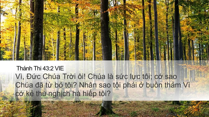Thánh Thi 43:2 VIE Bible Verse Image
