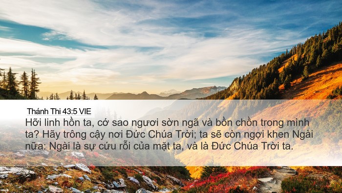 Thánh Thi 43:5 VIE Bible Verse Image
