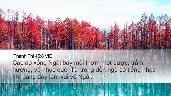 Thánh Thi 45:8 VIE Desktop Wallpaper - Các áo xống Ngài bay mùi thơm một - Desktop Bible Verse Wallpaper