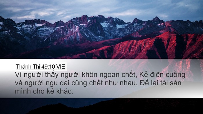 Thánh Thi 49:10 VIE Bible Verse Image