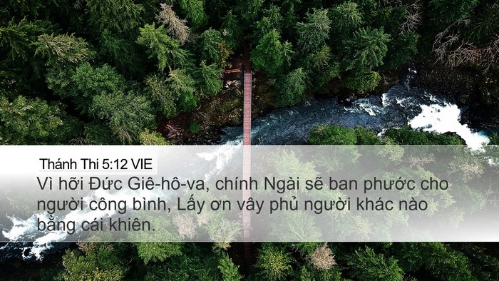 Thánh Thi 5:12 VIE Bible Verse Image