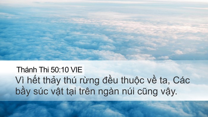 Thánh Thi 50:10 VIE Bible Verse Image