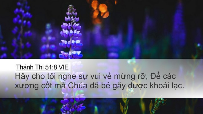 Thánh Thi 51:8 VIE Bible Verse Image