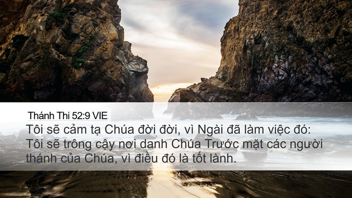 Thánh Thi 52:9 VIE Desktop Wallpaper - Tôi sẽ cảm tạ Chúa đời đời, vì - Desktop Bible Verse Wallpaper