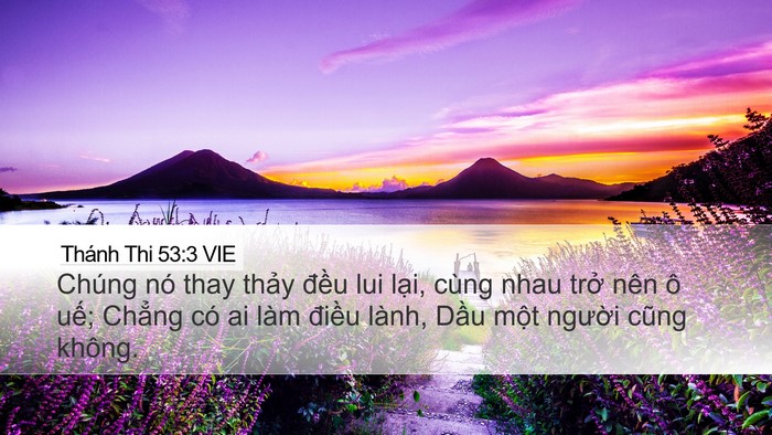 Thánh Thi 53:3 VIE Desktop Wallpaper - Chúng nó thay thảy đều lui lại, cùng - Desktop Bible Verse Wallpaper