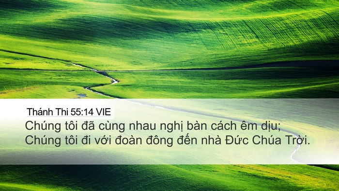 Thánh Thi 55:14 VIE Bible Verse Image