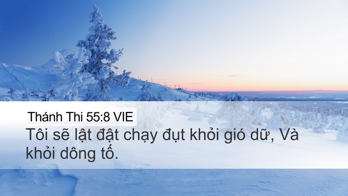 Thánh Thi 55:8 VIE Bible Verse Image