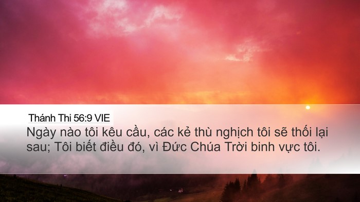 Thánh Thi 56:9 VIE Bible Verse Image