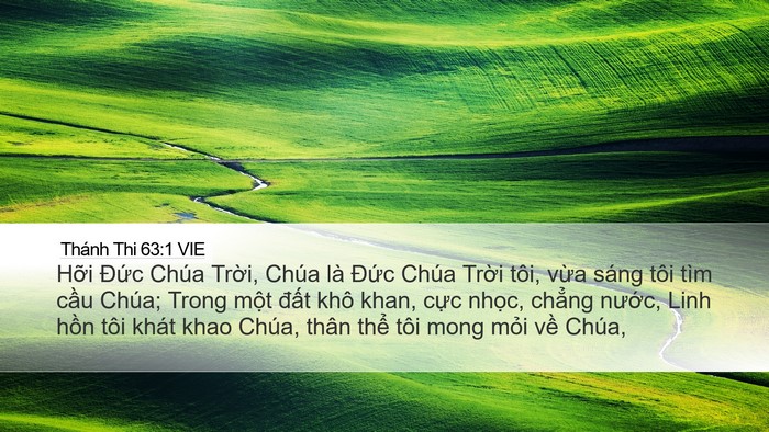 Thánh Thi 63:1 VIE Bible Verse Image