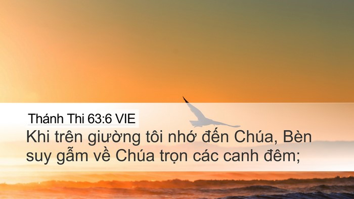 Thánh Thi 63:6 VIE Bible Verse Image