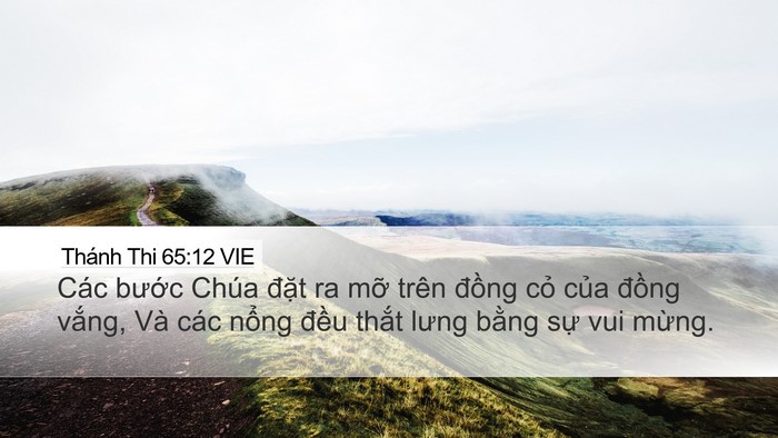 Thánh Thi 65:12 VIE Bible Verse Image