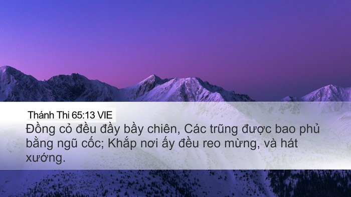 Thánh Thi 65:13 VIE Bible Verse Image