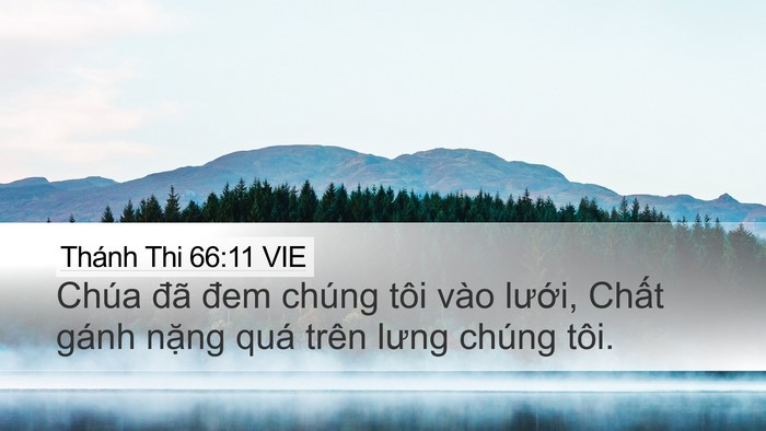 Thánh Thi 66:11 VIE Bible Verse Image