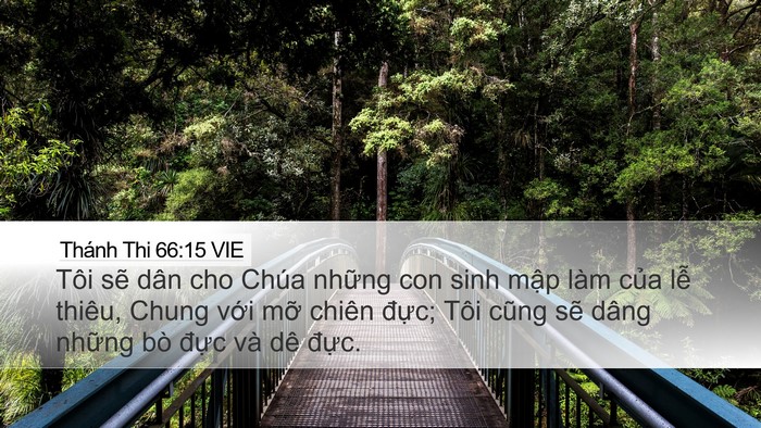 Thánh Thi 66:15 VIE Bible Verse Image