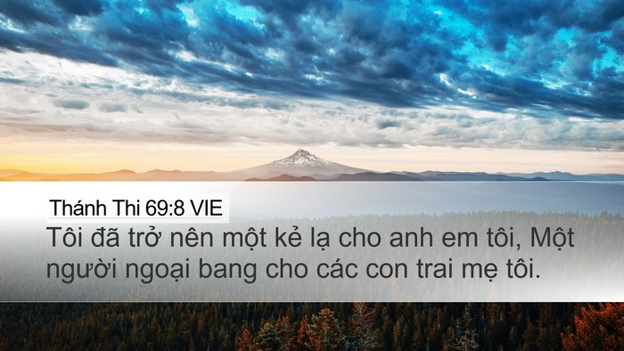 Thánh Thi 69:8 VIE Desktop Wallpaper - Tôi đã trở nên một kẻ lạ cho anh em - Desktop Bible Verse Wallpaper
