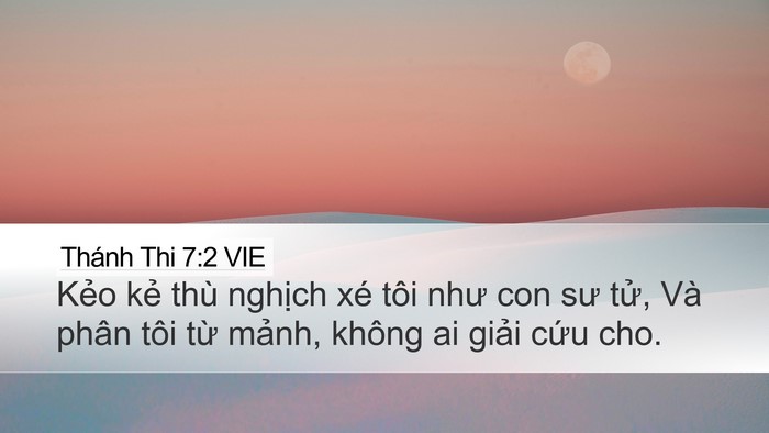 Thánh Thi 7:2 VIE Desktop Wallpaper - Kẻo kẻ thù nghịch xé tôi như con sư - Desktop Bible Verse Wallpaper