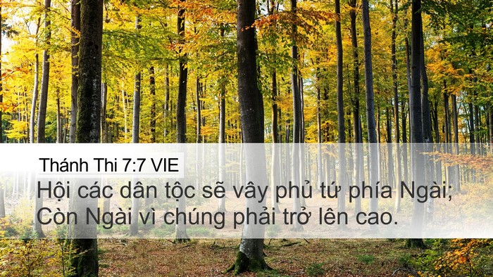 Thánh Thi 7:7 VIE Desktop Wallpaper - Hội các dân tộc sẽ vây phủ tứ phía - Desktop Bible Verse Wallpaper