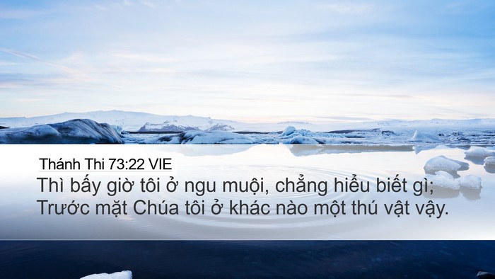 Thánh Thi 73:22 VIE Bible Verse Image