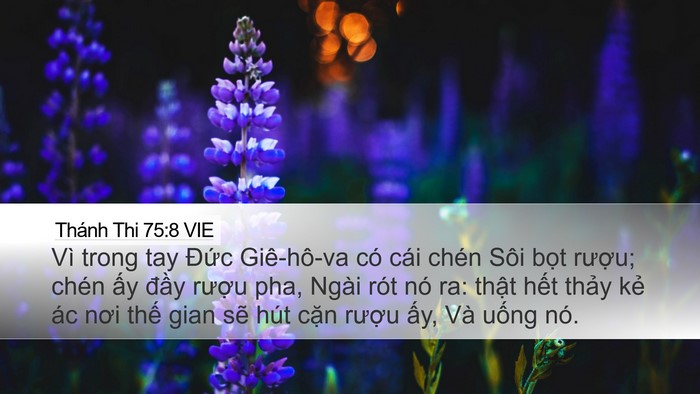 Thánh Thi 75:8 VIE Bible Verse Image