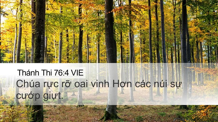 Thánh Thi 76:4 VIE Bible Verse Image
