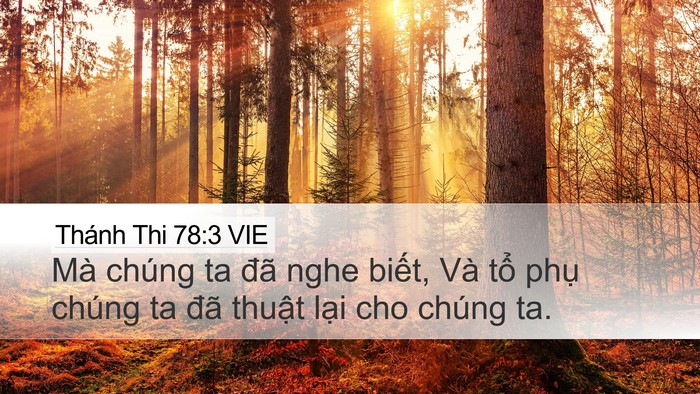 Thánh Thi 78:3 VIE Bible Verse Image