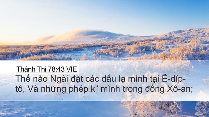 Thánh Thi 78:43 VIE Bible Verse Image