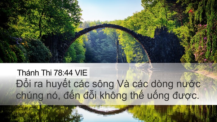 Thánh Thi 78:44 VIE Desktop Wallpaper - Đổi ra huyết các sông Và các dòng - Desktop Bible Verse Wallpaper