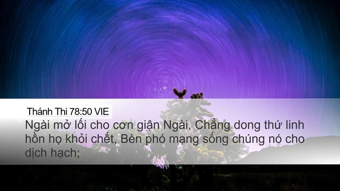 Thánh Thi 78:50 VIE Desktop Wallpaper - Ngài mở lối cho cơn giận Ngài, Chẳng - Desktop Bible Verse Wallpaper