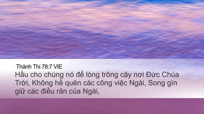 Thánh Thi 78:7 VIE Desktop Wallpaper - Hầu cho chúng nó để lòng trông cậy - Desktop Bible Verse Wallpaper