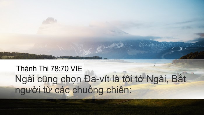Thánh Thi 78:70 VIE Bible Verse Image