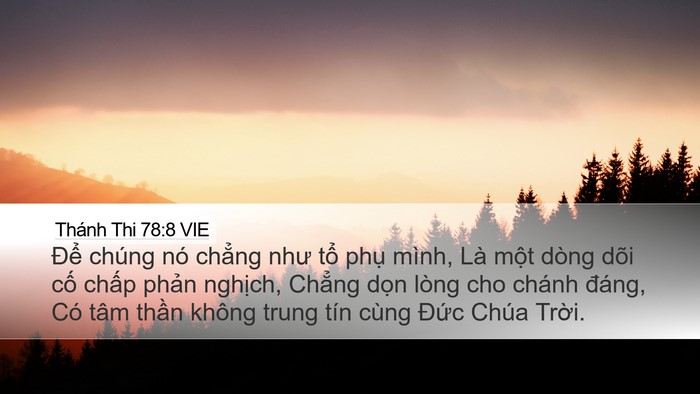 Thánh Thi 78:8 VIE Bible Verse Image