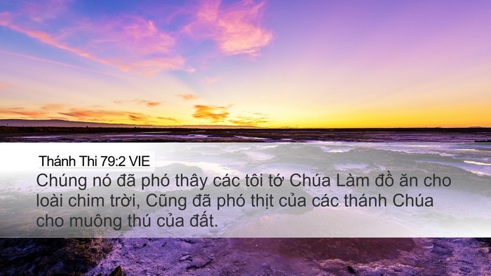 Thánh Thi 79:2 VIE Desktop Wallpaper - Chúng nó đã phó thây các tôi tớ Chúa - Desktop Bible Verse Wallpaper