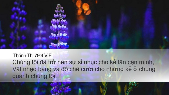 Thánh Thi 79:4 VIE Bible Verse Image