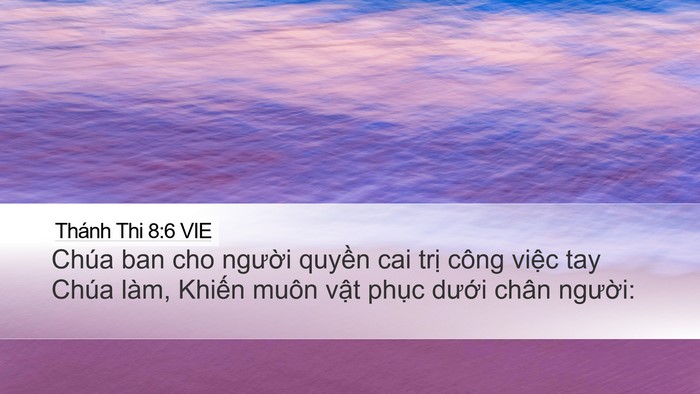 Thánh Thi 8:6 VIE Bible Verse Image