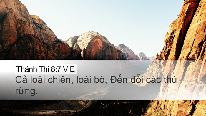 Thánh Thi 8:7 VIE Desktop Wallpaper - Cả loài chiên, loài bò, Đến đỗi các - Desktop Bible Verse Wallpaper