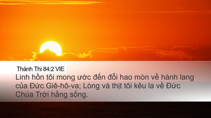 Thánh Thi 84:2 VIE Bible Verse Image