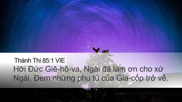 Thánh Thi 85:1 VIE Desktop Wallpaper - Hỡi Đức Giê-hô-va, Ngài đã làm ơn cho - Desktop Bible Verse Wallpaper