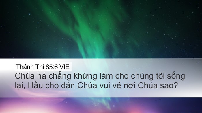 Thánh Thi 85:6 VIE Bible Verse Image