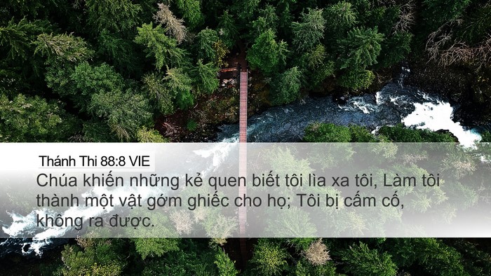 Thánh Thi 88:8 VIE Bible Verse Image