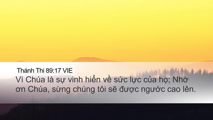 Thánh Thi 89:17 VIE Bible Verse Image