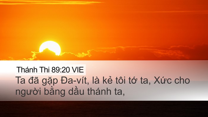 Thánh Thi 89:20 VIE Bible Verse Image
