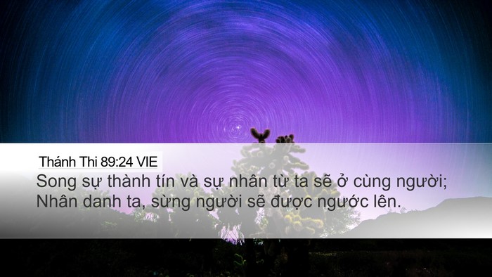 Thánh Thi 89:24 VIE Bible Verse Image