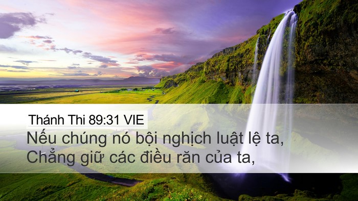 Thánh Thi 89:31 VIE Bible Verse Image