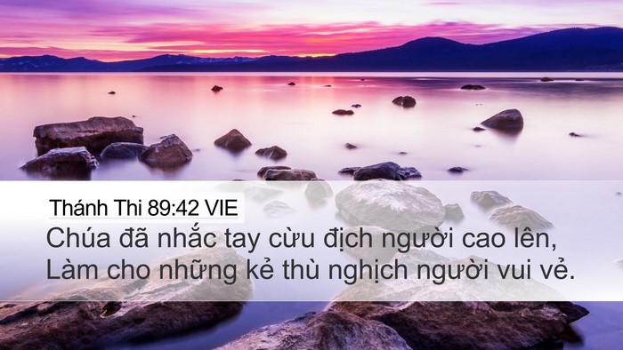 Thánh Thi 89:42 VIE Desktop Wallpaper - Chúa đã nhắc tay cừu địch người cao - Desktop Bible Verse Wallpaper